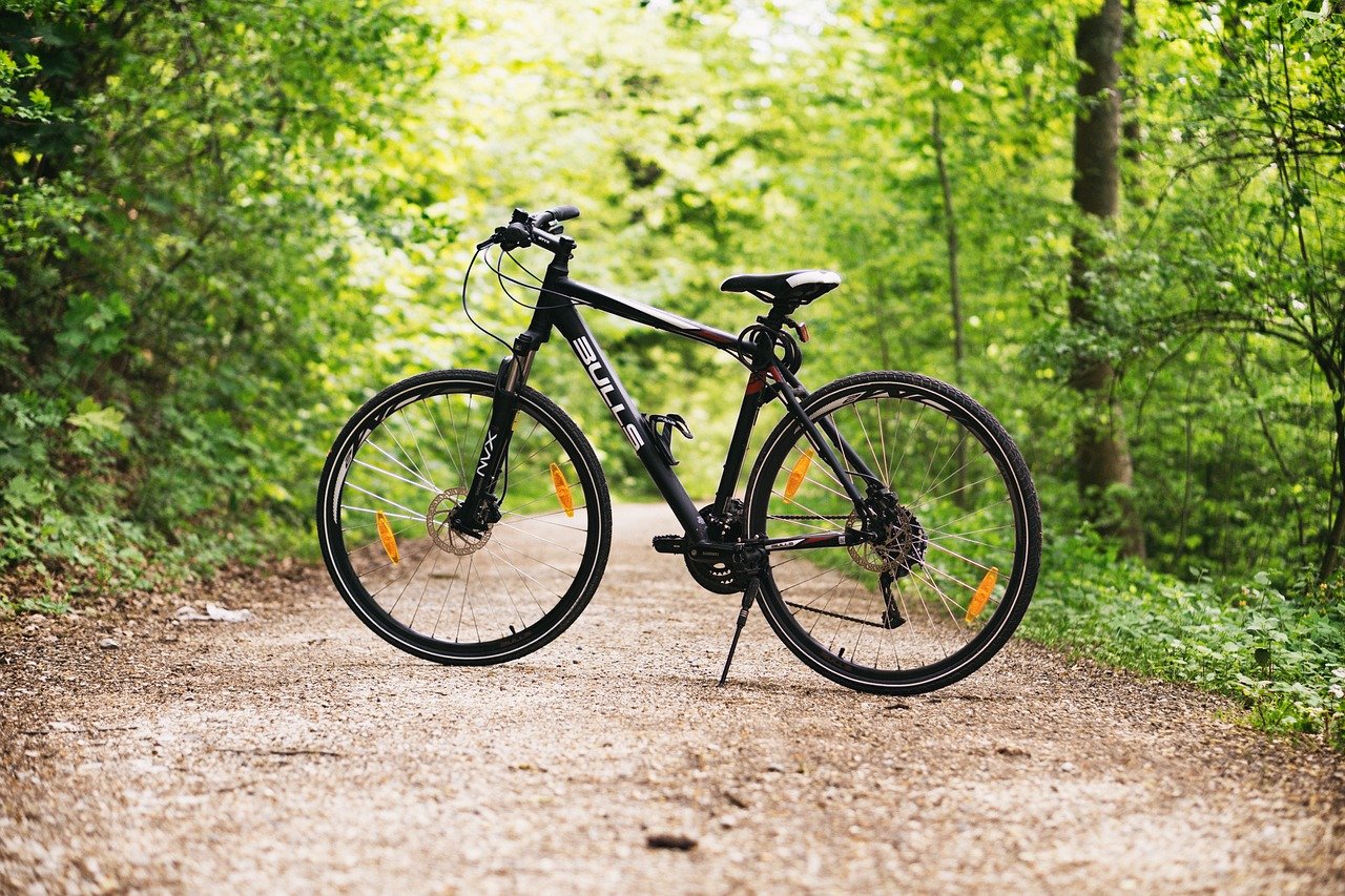 bicycle, bike, forest-1834265.jpg